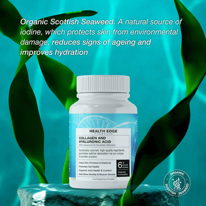 collagen peptides organic natural