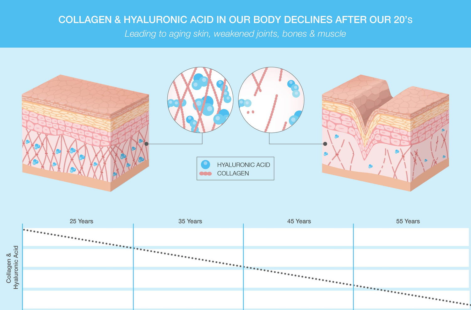 best collagen supplement skin chart